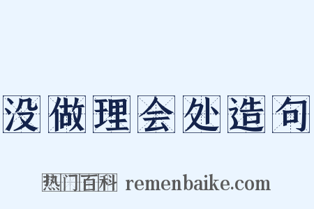 没做理会处造句是什么意思的图片